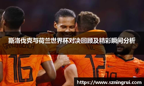 斯洛伐克与荷兰世界杯对决回顾及精彩瞬间分析