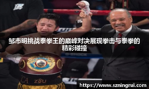 邹市明挑战泰拳王的巅峰对决展现拳击与泰拳的精彩碰撞